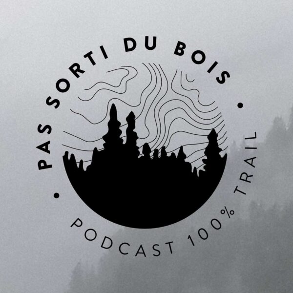 Pochette de Pas sorti du bois