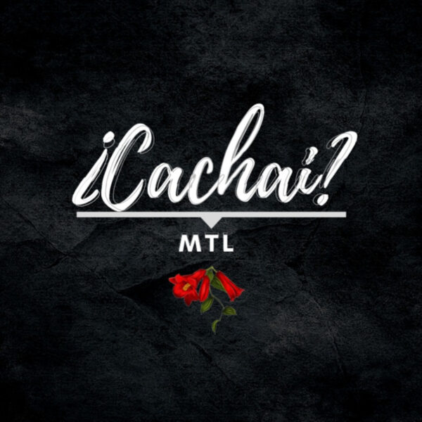 Pochette de ¿Cachai?
