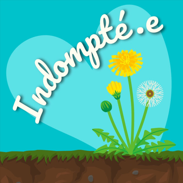 Pochette de Indompté.e