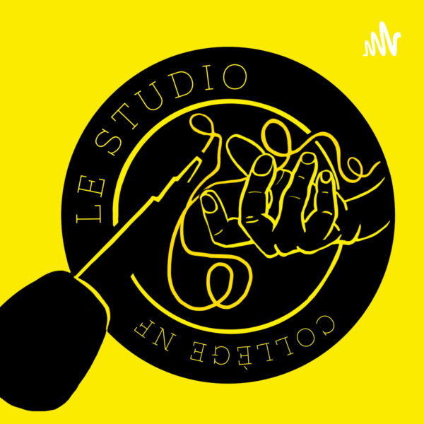 Pochette de Le Studio NF