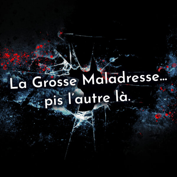 Pochette de La Grosse Maladresse