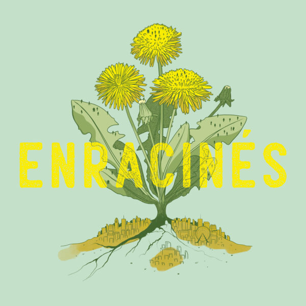 Pochette de Enracinés | Récits de nature